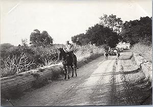 Burma, Kingdom of Ava, Road to Amarapura, vintage silver print, ca.1910