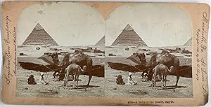 B.L. Singley, Egypt, Cairo, A Baby of the Desert, stereo, 1899