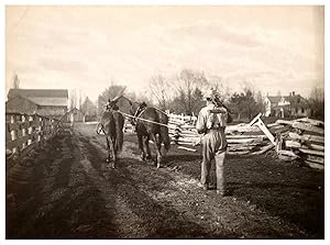 U.S.A., Canada, Landscape, man coming from field work with horses