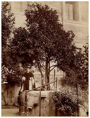 Italie, Roma Colle Aventino, Basilica di Santa Sabina, pianta di arancio di St Dominique