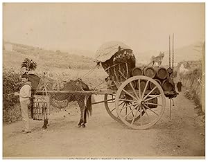 Italie, Dintorni di Roma, Costumi, Carri da Vino