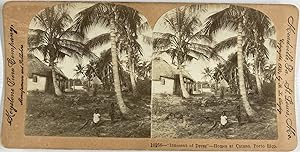 B.L. Singley, USA, Porto Rico, Homes at Catano, stereo, 1900