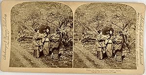 Strohmeyer & Wyman, Japan, Sugita, Under the Plum Blossoms, stereo, 1896