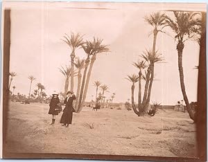 Maroc, Marrakech, la Palmeraie, Vintage citrate print, 1916