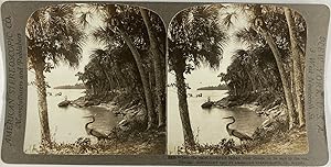 USA, Florida, stereo, Palm-bordered Indian river, 1907