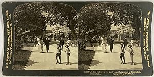 White, Switzerland, Interlaken's avenue, stereo, 1901