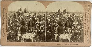 B.L. Singley, USA, Plantation Scene, stereo, 1899