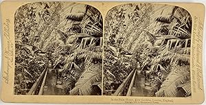 Strohmeyer & Wyman, England, London, Kew Gardens, stereo, 1896