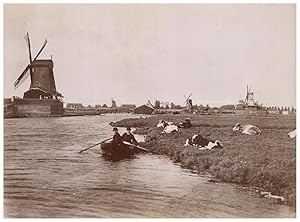 Nederland, Zaandam, per boot op het kanaal, windmolens, koeien