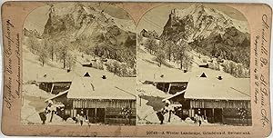 B.L. Singley, Switzerland, Grindelwald, Winter Landscape, stereo, 1900