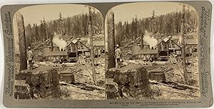 USA, Californie, Millwood, Séquoias dans une scierie, Vintage albumen print, ca.1880, Stéréo