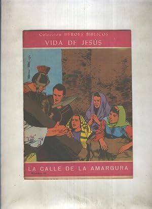 Seller image for Heroes Biblicos numero 48: Vida de Jesus for sale by El Boletin