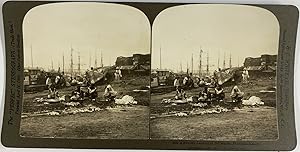 White, Philippines, Manila, stereo, Filipino Laundry, 1901