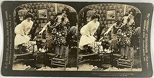 White, Genre Scene, An unwelcome visitor, stereo, 1902