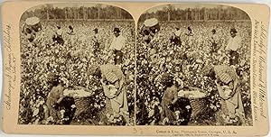 Strohmeyer & Wyman, USA, Georgia, Plantation Scene, stereo, 1895