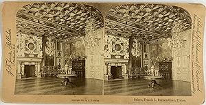 Jarvis, France, Fontainebleau, Salon de François Ier, stereo, 1889