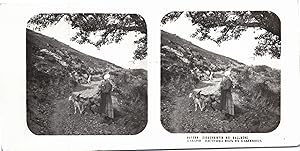 Allemagne, Bavière, Kallmünz, Femme avec ses chèvres, Vintage print, ca.1900, Stéréo