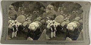 Équateur, Sentier de mules dans les Andes entre Ambato et Riobamba, Vintage silver print, ca.1910...
