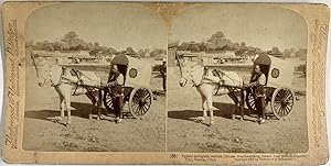 Underwood, China, Beijing, Typical Chinese Coach, stereo, 1901