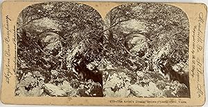 B.L. Singley, North Wales, Bettws-y-Coed, The Artist's Dream, stereo, 1897