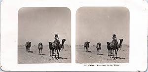 Egypte, Le Caire, Caravane dans le Désert, Vintage print, ca.1900, Stéréo