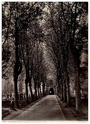 England, Stratford on Avon, Avenue to the Church, Photo Bedford