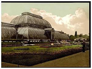 Kew Gardens, The Palm House, London & Suburbs