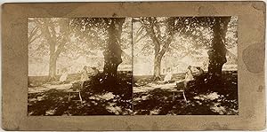 Scène de Genre, Enfants dans un Jardin, vintage stereo print, ca.1900