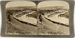 Palestine, Bergers et leur troupeau sur la Plaine de Jezreel, Vintage print, ca.1900, Stéréo