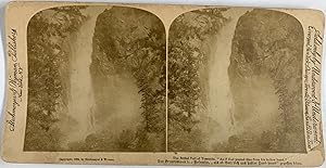 Etats-Unis, Californie, Yosemite park, Vintage print, circa 1900, Stéréo