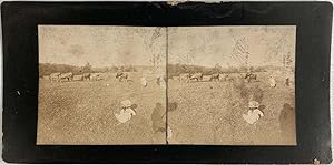 France, Environs de Charbonnières-les-Bains, Enfants et Vaches dans un Pré, vintage stereo print,...