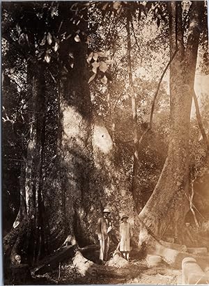 Indochina, Angkor-Wat, Couple posing near a Tree, vintage silver print, ca.1925