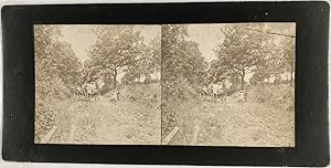 Promeneurs sur un chemin de campagne, Vintage print, ca.1890, Stéréo