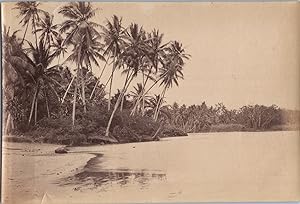Nouvelle Guinée, Aroma Coast, Vintage print, circa 1890