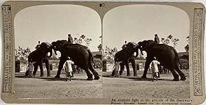 India, Baroda, Gaekwar's Palace, Elephant Fight, vintage stereo print, ca.1900