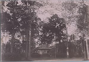 Vietnam, Saïgon, Jardin Botanique, Kiosque, vintage carbon print, ca.1910