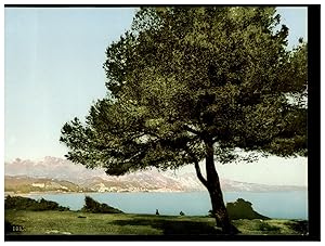 Menton, Vue prise du Cap Martin