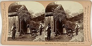 Norvège, Acheminement du foin depuis la montagne, Vintage print, ca.1890, Stéréo