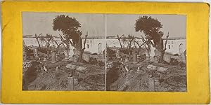 Tunisie, Carthage, Vue du jardin du Musée de Carthage, Vintage print, circa 1890, Stéréo