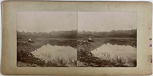 France, Femme près d'un Etang, A Identifier, vintage stereo print, ca.1900