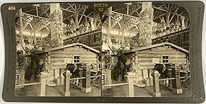 USA, St. Louis, World's Fair, Cabane en bois où habitait Roosevelt, Vintage print, 1904, Stéréo