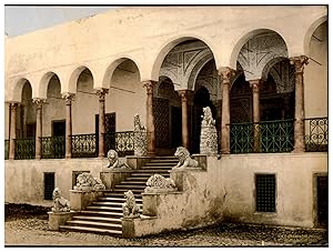 Tunis, Bardo, L?Escalier des Lions.