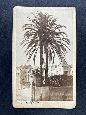 Scotto, Italie, San Remo, Parc avec Palmiers, CDV albumen print