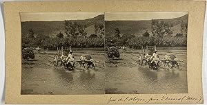 Mexique, Oaxaca, Rivière Atoyac, Boeufs et Charrue franchissant le Gué, vintage stereo print, 1906