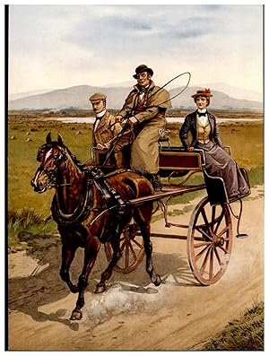 Irish Jaunting Car