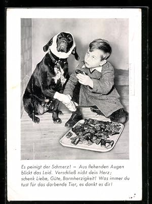 Ansichtskarte Berlin, Hund mit Verband, Knabe, Wurststücke, Tierschutzverein