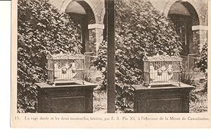Seller image for Postal 027041 : La cage doree et les deux tourterelles benites, par S. S. Pie XI, a loffertoire de la Messe de Canonisation for sale by EL BOLETIN