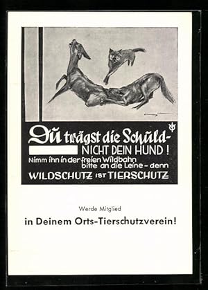 Ansichtskarte Appell zum Anleinen von Hunden, Wildschutz ist Tierschutz