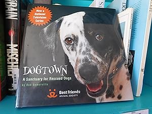 Seller image for Dogtown: A Sanctuary for Rescued Dogs for sale by Front Range Books, LLC