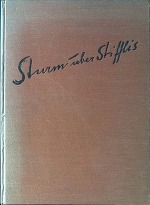 Seller image for Sturm ber Stifflis. for sale by books4less (Versandantiquariat Petra Gros GmbH & Co. KG)